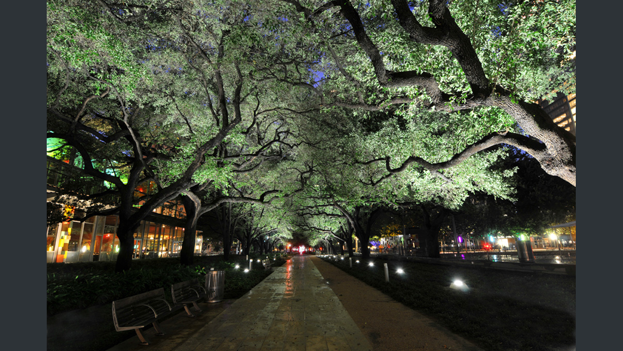 discovery green promenade